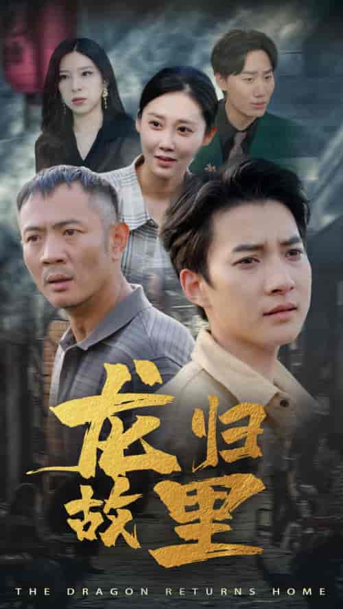 龙归故里（69集） - 紫橙阁短剧