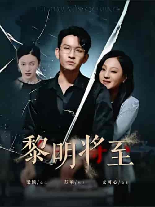 黎明将至（61集全）王已歌 - 紫橙阁短剧