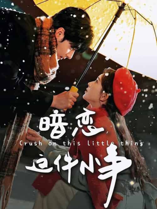 暗恋这件小事（100集全）孟佳辉＆诗越越 - 紫橙阁短剧