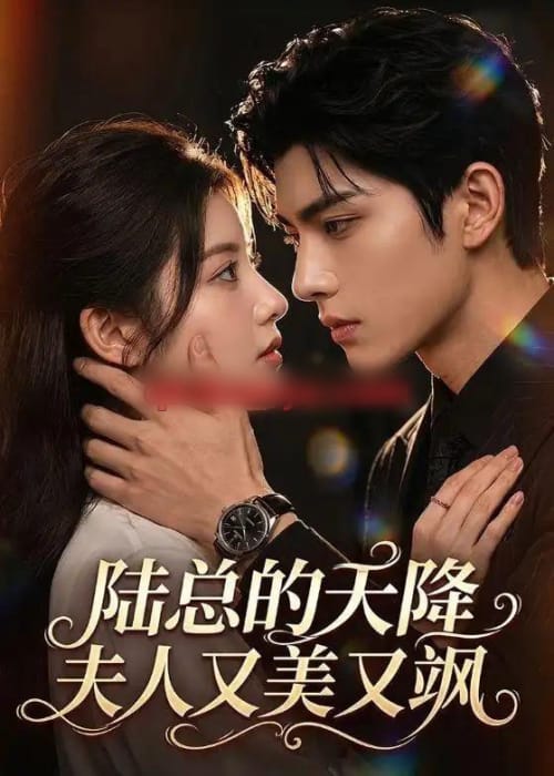 陆总的天降夫人又美又飒(80集全)AI短剧-紫橙网创项目网