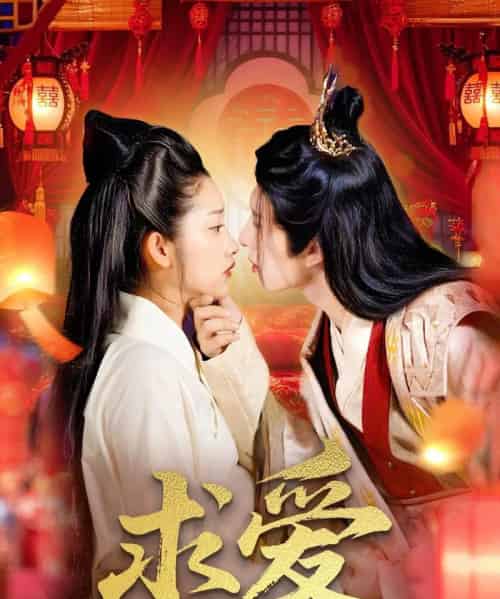 求爱 求爱