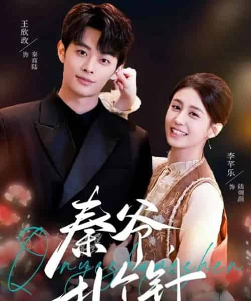 秦爷，扎个针（85集全）王欣政＆李芊乐-紫橙网创项目网