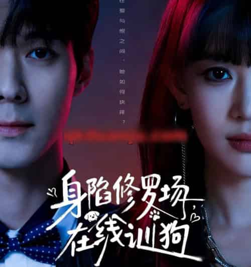 身陷修罗场，在线训狗（81集全）李佳明＆成梓宁-紫橙网创项目网