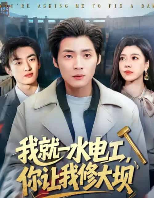 我就一水电工，你让我修大坝（65集全）徐浩＆陈汶汐-紫橙网创项目网