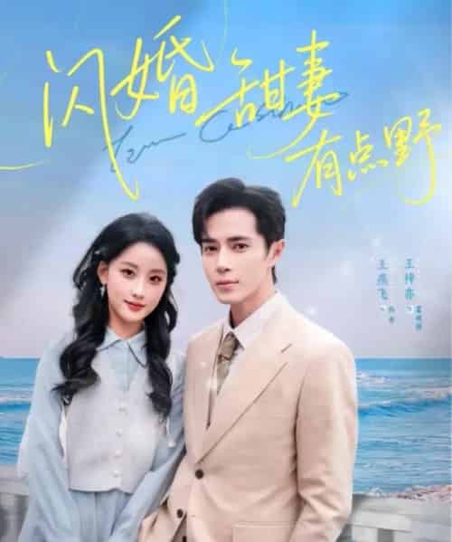 闪婚甜妻有点野(89集全)王梓亦&王燕飞-紫橙网创项目网