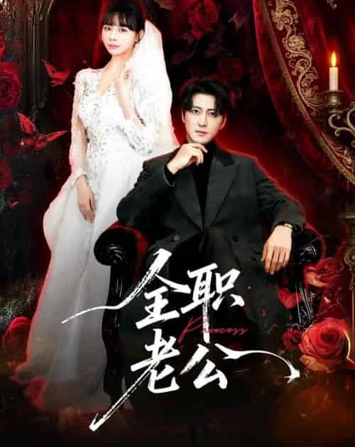 全职老公（60集全）李岩松＆卢巧 - 紫橙阁短剧