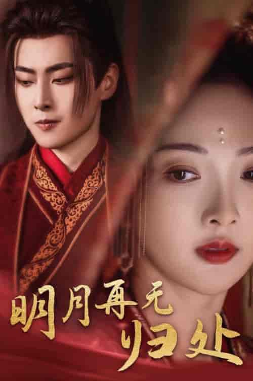 明月再无归处（39集全）展轩＆丁果 - 紫橙短剧