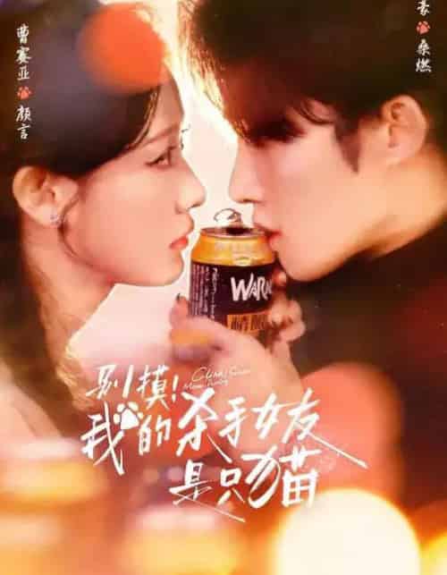 别摸！我的杀手女友是只猫（60集全）陈名豪＆曹赛亚＆潘文驰-紫橙网创项目网