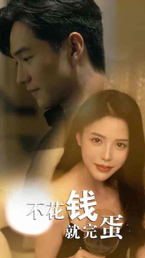 不花钱就完蛋（80集） - 紫橙阁短剧