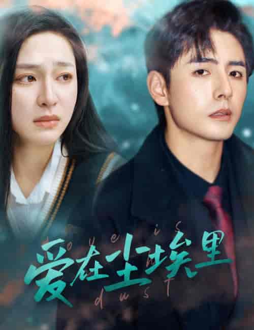 爱在尘埃里（77集） - 紫橙阁短剧