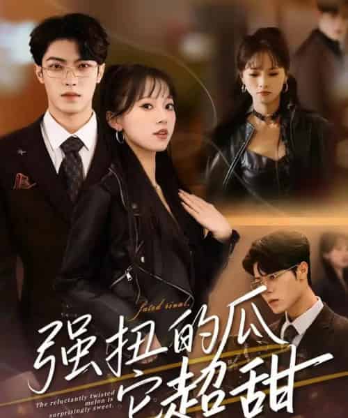 强扭的瓜它超甜（70集全）付琳琅＆贾馨雨-紫橙网创项目网