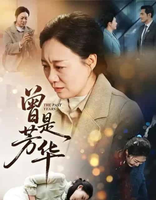 曾是芳华(60集全)庄园&驰恩尘-紫橙网创项目网