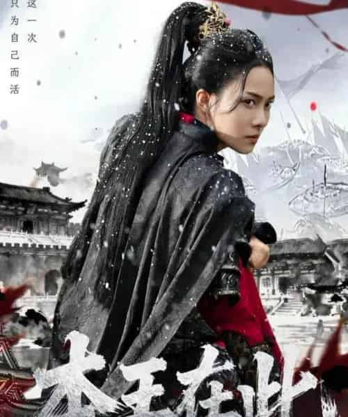 本王在此（72集全）童家豪＆苏寰-紫橙网创项目网