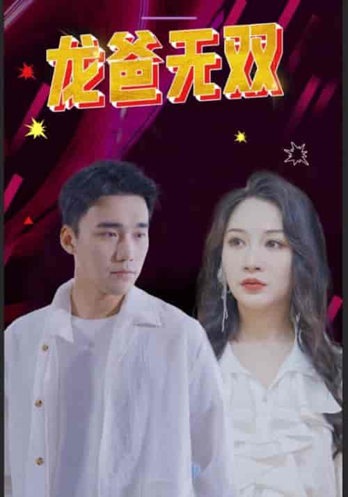 龙爸无双（100集全）万言风＆安然 - 紫橙阁短剧