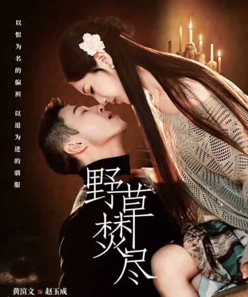 野草焚尽(74集全)黄渲文&戚羽佳-紫橙网创项目网