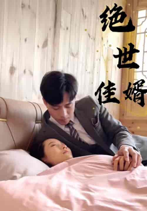 绝世佳婿（100集全）叶祖城＆王家蕊 - 紫橙阁短剧