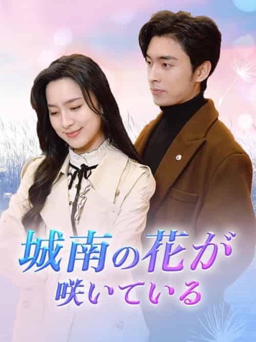 城南の花が咲いている（92集全）傅林深＆程心 - 紫橙海外短剧