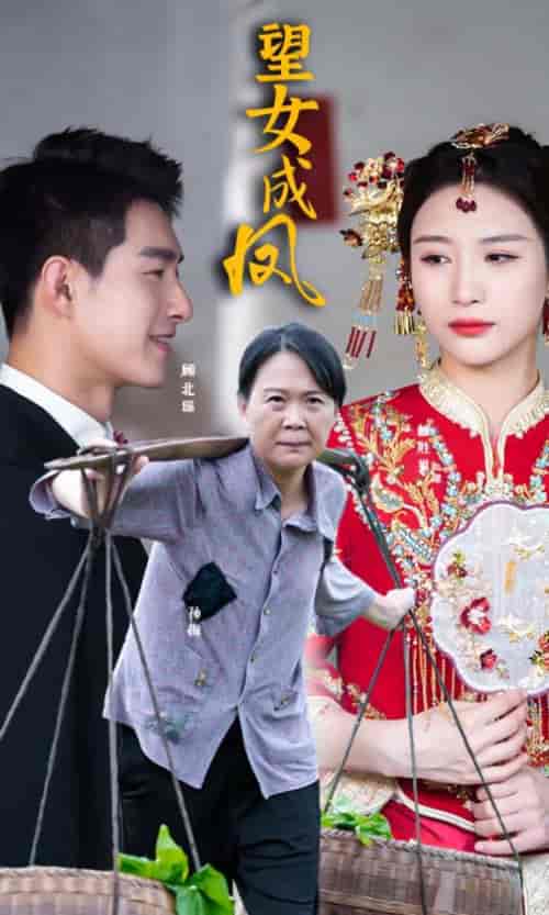 望女成凤（74集） - 紫橙阁短剧