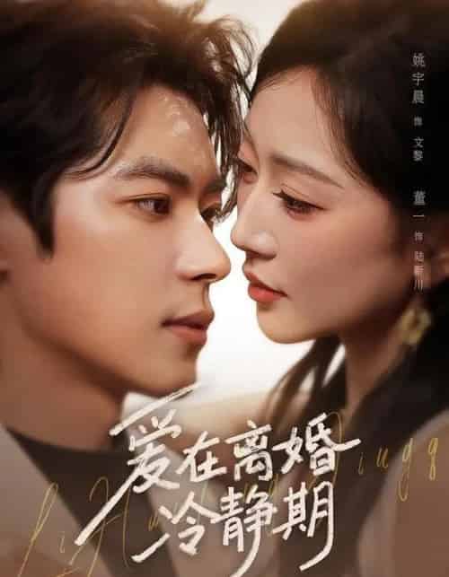 爱在离婚冷静期(73集全)董一&姚宇晨-紫橙网创项目网