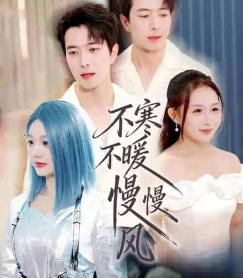 不寒不暖慢慢风（70集全）仇乐瑶＆傅汉源-紫橙网创项目网