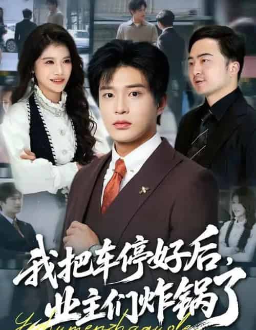 我把车停好后，业主们炸锅了（47集全）朱凯杰＆妞妞-紫橙网创项目网