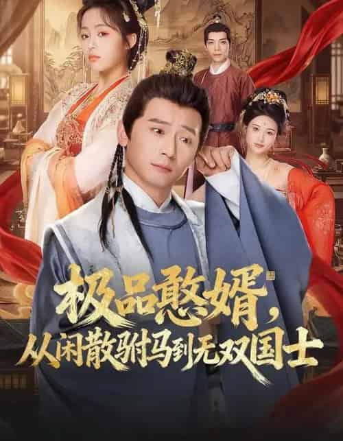 极品憨婿，从闲散驸马到无双国士（76集全）何其炜＆林思妤-紫橙网创项目网
