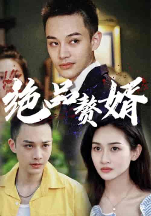 绝品赘婿（80集全）慕子期＆凌妙妙 - 紫橙阁短剧