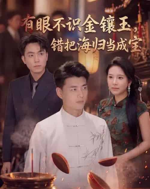 有眼不识金镶玉错把海归当成宝(80集全)李进源&华越-紫橙网创项目网