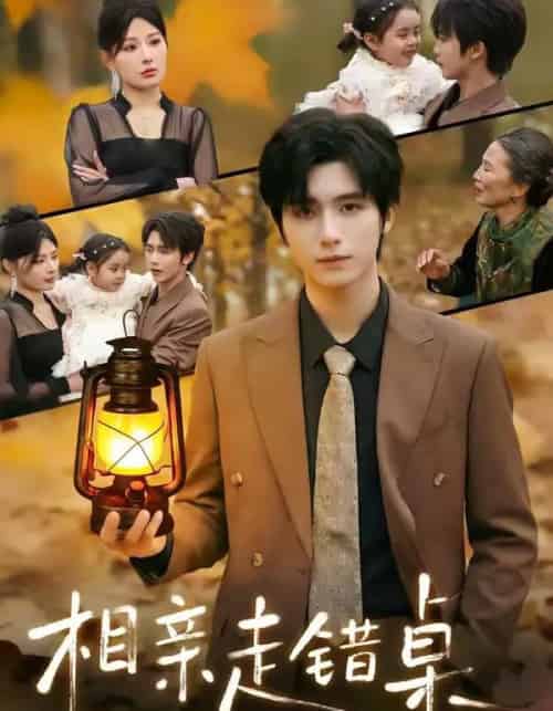 相亲走错桌:相亲对象绑我结婚(81集全)夏锦沫&王也-紫橙网创项目网