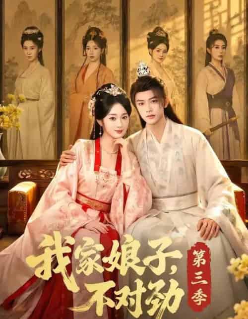 我家娘子,不对劲第三季(99集全)陈外&鲁芳岐-紫橙网创项目网
