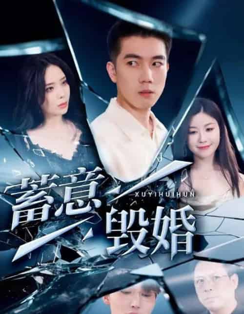 蓄意毁婚（51集）罗司纯 - 紫橙阁短剧