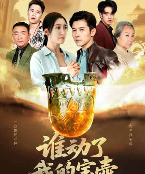 谁动了我的宝壶(31集全)赖艺&赵琳苑-紫橙网创项目网