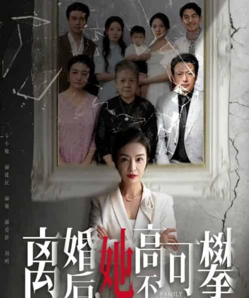 离婚后她高不可攀＆至亲之人伤我最深（67集全）岳子龙＆刘超-紫橙网创项目网