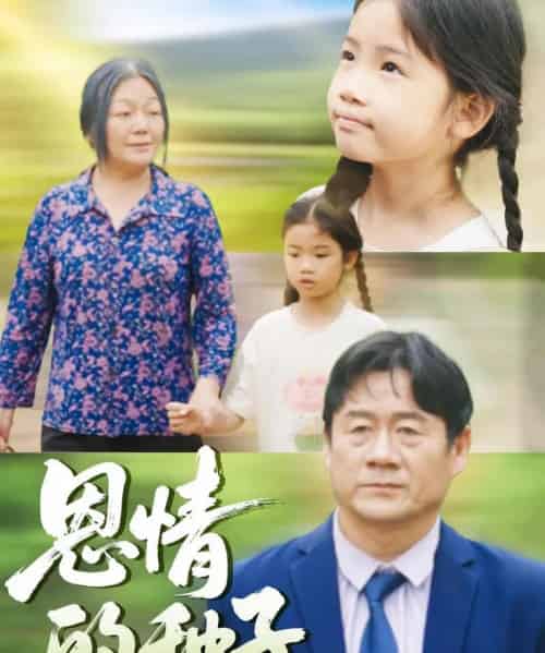恩情的种子 恩情的种子