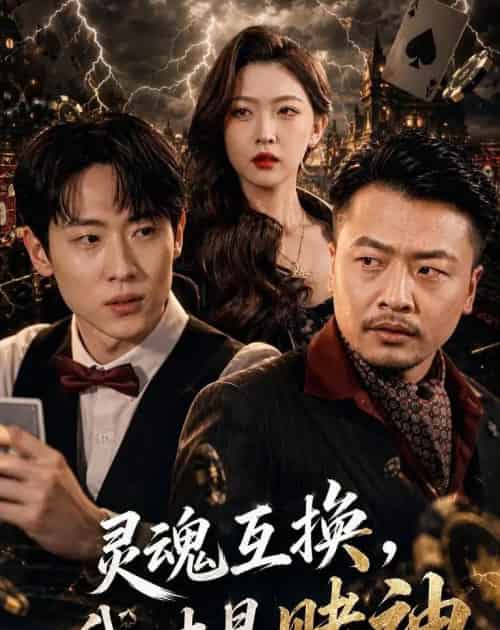 灵魂互换,我才是赌神(61集全)薛滨弘&任绵绵-紫橙网创项目网