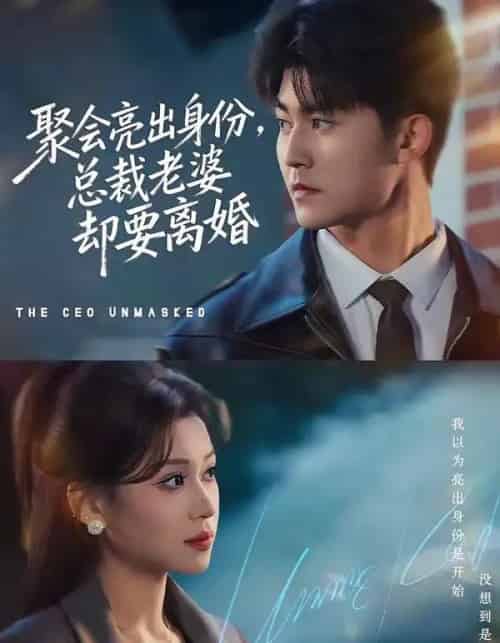 聚会亮出身份，总裁老婆却要离婚（81集全）梅子健＆任柏玉-紫橙网创项目网