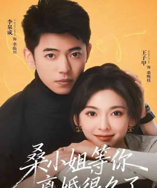 桑小姐，等你离婚很久了（70集全）李泉成＆王子甲-紫橙网创项目网