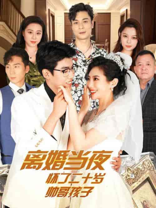 离婚当夜怀了二十岁帅哥（75集全）-紫橙网创项目网