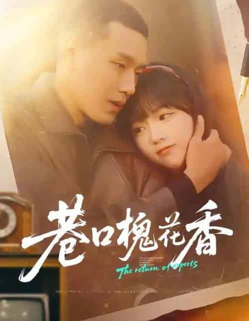 巷口槐花香（65集全）王慧龙＆烨喵-紫橙网创项目网