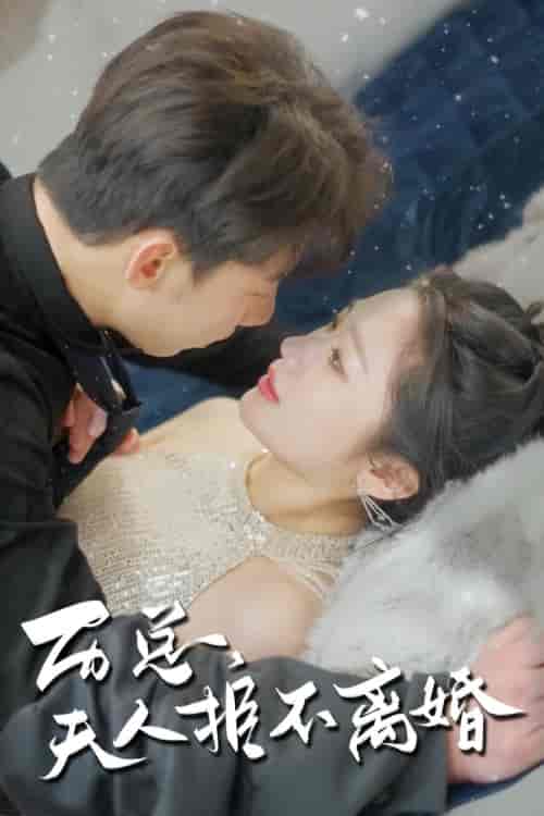 历总,夫人拒不离婚 历总,夫人拒不离婚