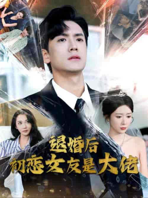 退婚后初恋女友是大佬（101集全） - 紫橙阁短剧