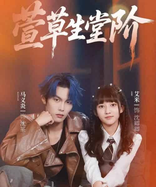 萱草生堂阶 (70集全) 马义炎&艾米-紫橙网创项目网