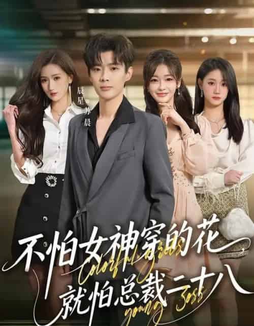 不怕女神穿的花，就怕总裁二十八（81集全）辰星＆汪碧玉-紫橙网创项目网