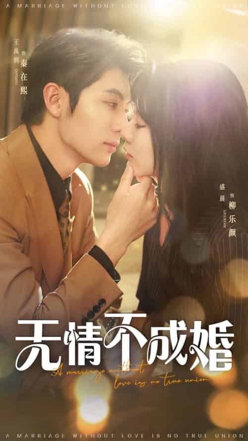 无情不成婚 无情不成婚