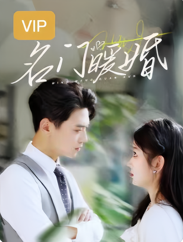 名门暖婚【小合集每集20分钟】 - 紫橙阁短剧