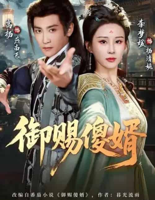 御赐傻婿（81集全）高杨＆李梦媛-紫橙网创项目网