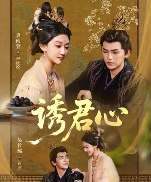 诱君心（61集全）吴竹熙＆袁雨萱-紫橙网创项目网
