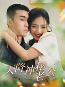 天降神秘老公（93集）-紫橙网创项目网