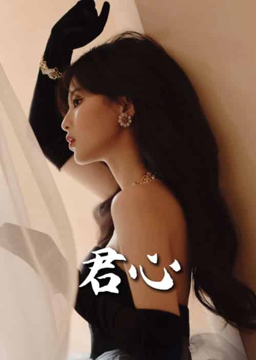 君心（72集全） - 紫橙阁短剧