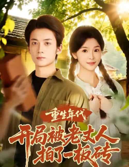 重生年代开局被老丈人拍了一板砖(82集全)陈含&冯亦-紫橙网创项目网